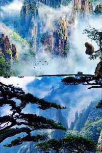 黃山旅遊全攻略，睇完再出發！