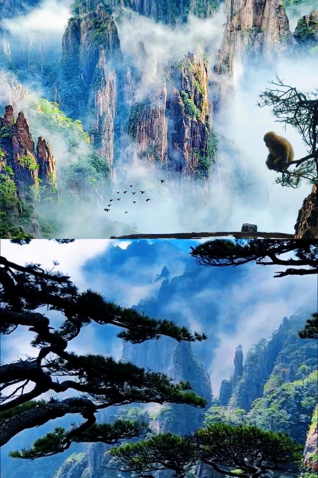黃山旅遊全攻略，睇完再出發！