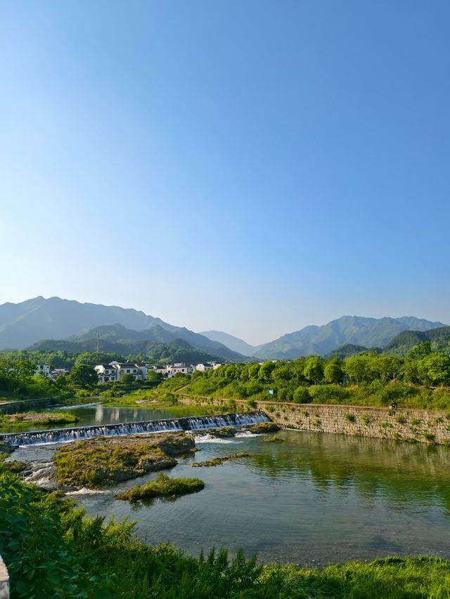 雲海之上，夢迴黃山