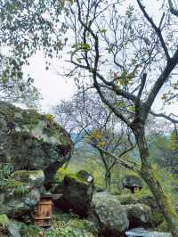 《山靄深處：與簷角苔衣的千年私語》