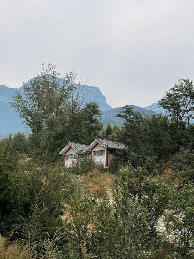 探索鄭州中靈山：重現人類始祖發源地盛景