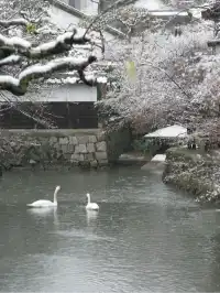 和風庭院，靜享穿越時光之旅
