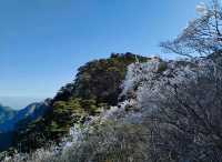 《被古人呃咗1200年！黃山「蓮花芯」先係外星戰場》