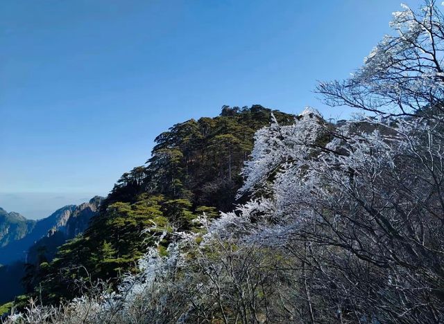 《被古人呃咗1200年！黃山「蓮花芯」先係外星戰場》