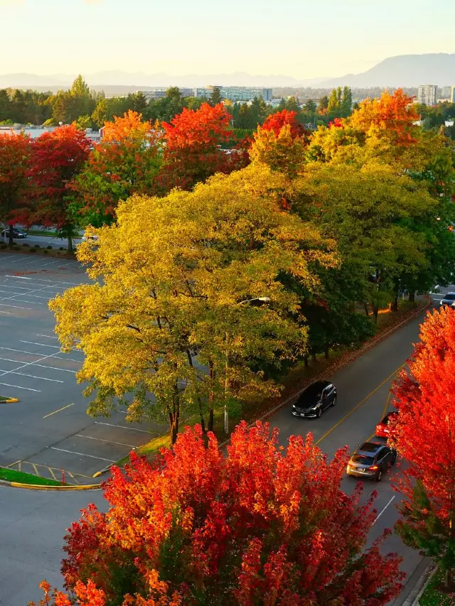 คู่มือเที่ยวแคนาดาสำหรับฤดูกาลจบการศึกษา