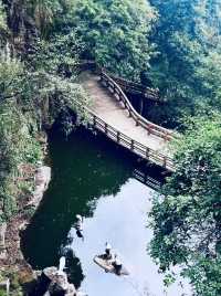 漳州鹅仙洞：山不在高有仙則靈