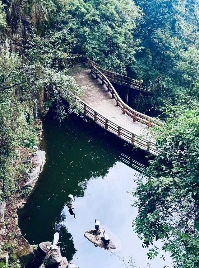 漳州鹅仙洞：山不在高有仙則靈