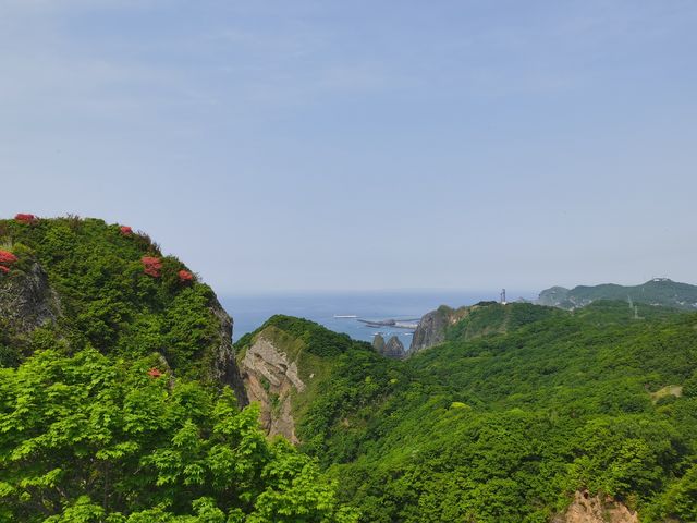 北海道自駕遊Day1