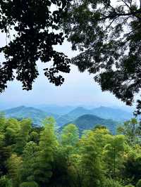 德清｜莫干山徒步，自然野趣與人文浪漫瘋狂碰撞