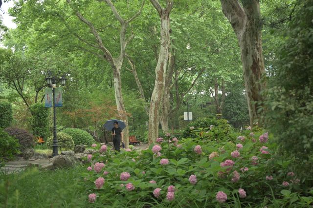上海の魯迅公園で地元の方々の暮らしを感じて、緑いっぱい浴びてリラックス