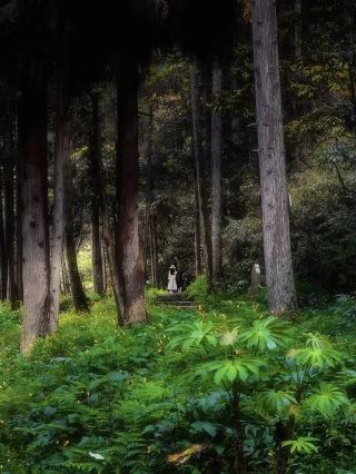 Hidden Gems for Family Hiking and Summer Escapes Near Chengdu!!