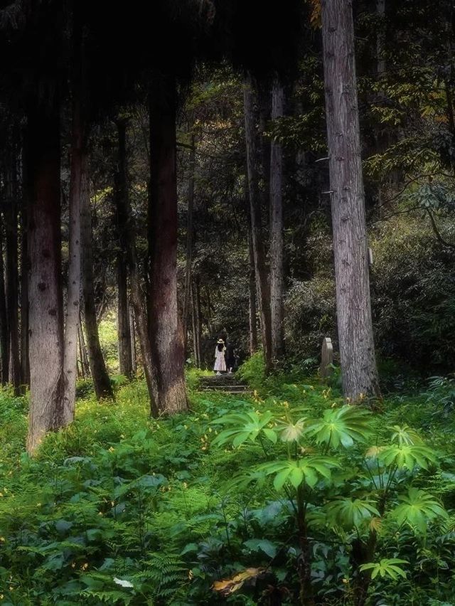 成都周邊小眾親子徒步避暑玩水秘境！！