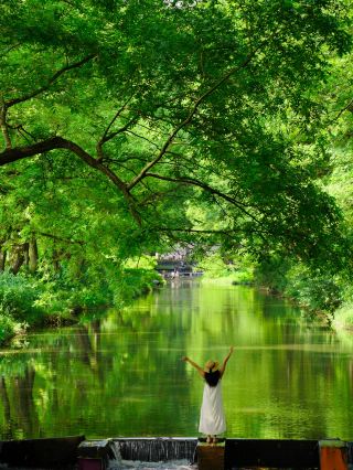 Not Xixinan, I Found the Hidden Fairyland in Southern Anhui