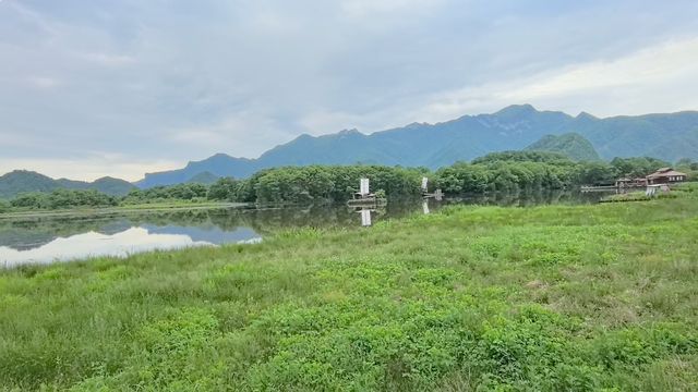 人生建議：帶小朋友去神農架 一定要6-8月去