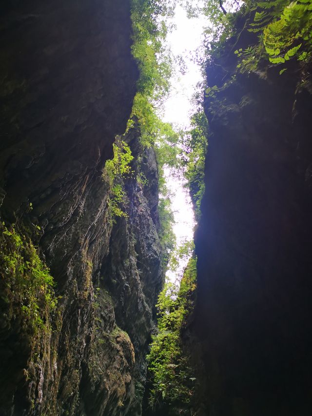 吸氧洗肺避暑勝地！玩轉5A級峽谷秘境
