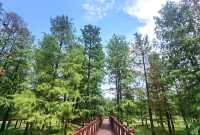 四明山國家森林公園遊玩攻略