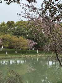 陽澄湖畔，邂逅費爾蒙嘅悠閒時光