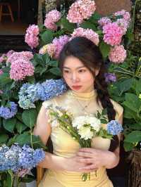 【限時花海邀約】曦堯酒店×夢幻繡球季 |