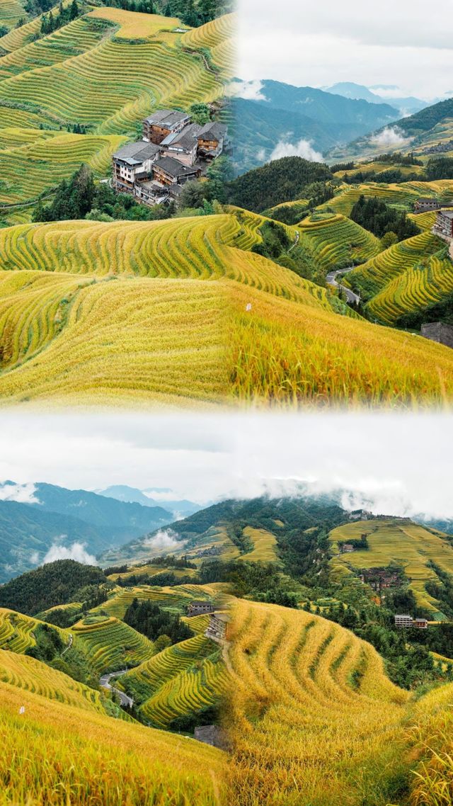 7月放暑假適合去玩嘅地方