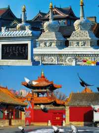 內蒙古·呼和浩特丨最全旅遊攻略，必打卡景點與美食