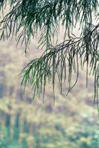 成都週末1小時直達 ～深谷空靈嘅呼吸
