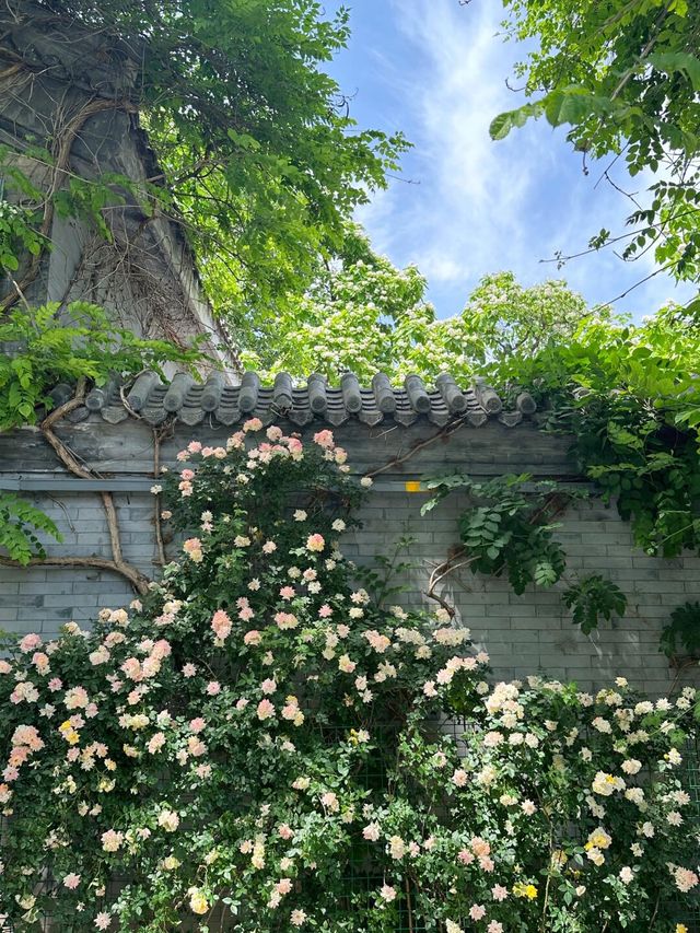 恭王府的夏日美學