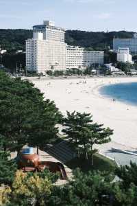 日本小眾旅行地，去完白濱再離開和歌山！