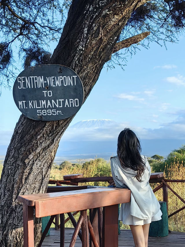 Tanzania Diaries: Where Wild Dreams Come True! 🌍✨
