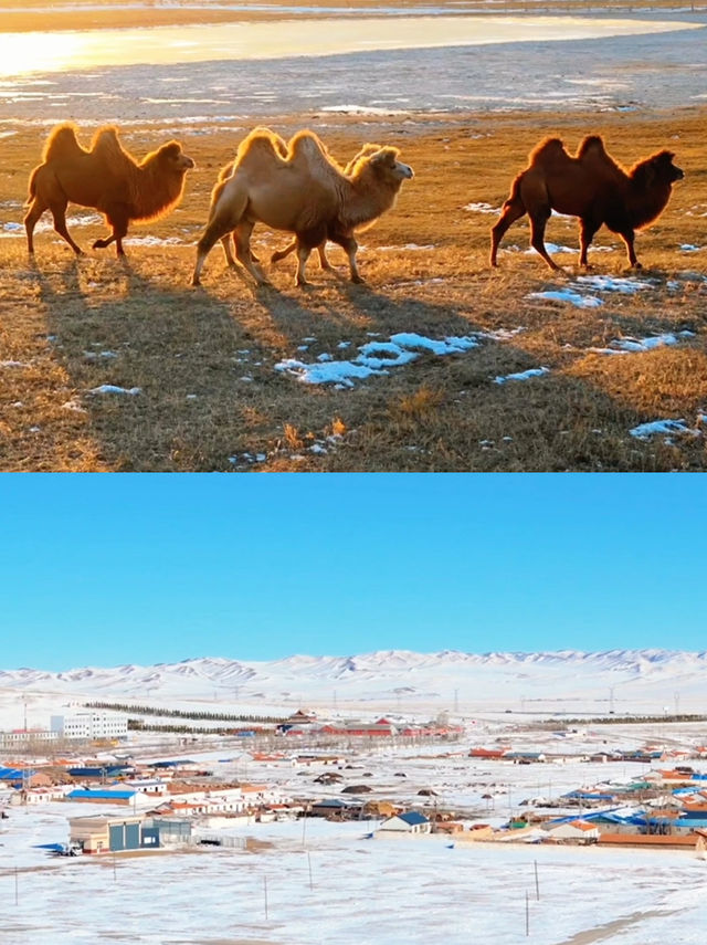 馬超出圈！跟著達人踏雪追風，打卡錫盟！