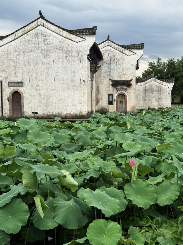 徽州呈坎皖南古鎮嘅夏日時光（附攻略