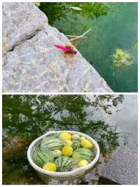 剛從雲舍村返嚟，講啲難聽嘅大實話
