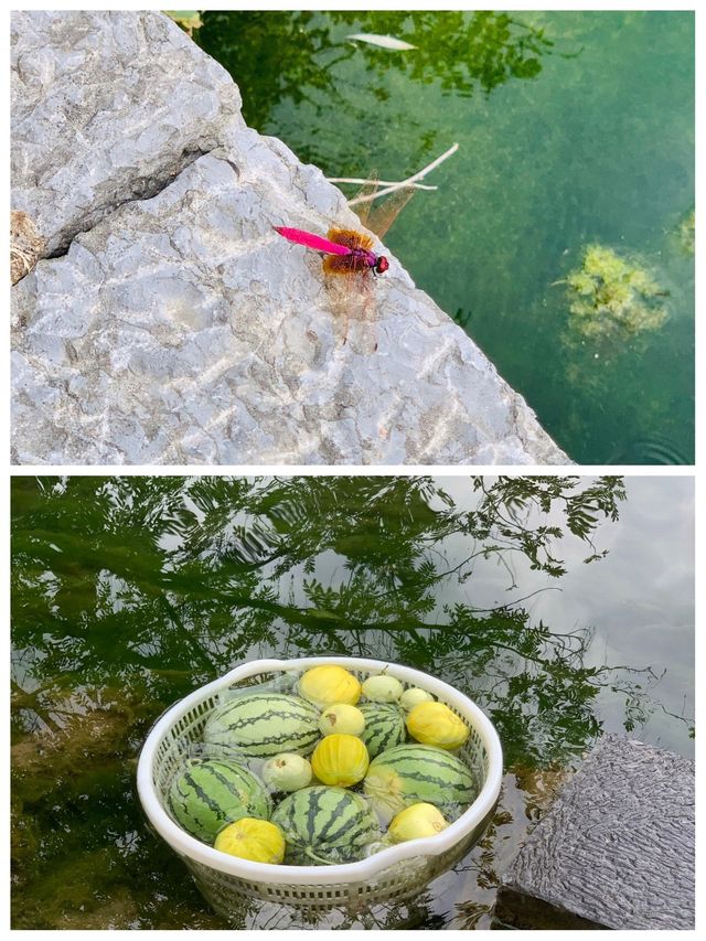 剛從雲舍村返嚟，講啲難聽嘅大實話