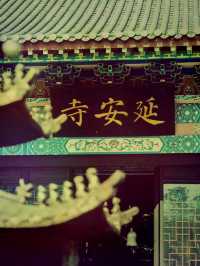 *【金陵古剎秘境：南京延安寺的禪意時光】**  