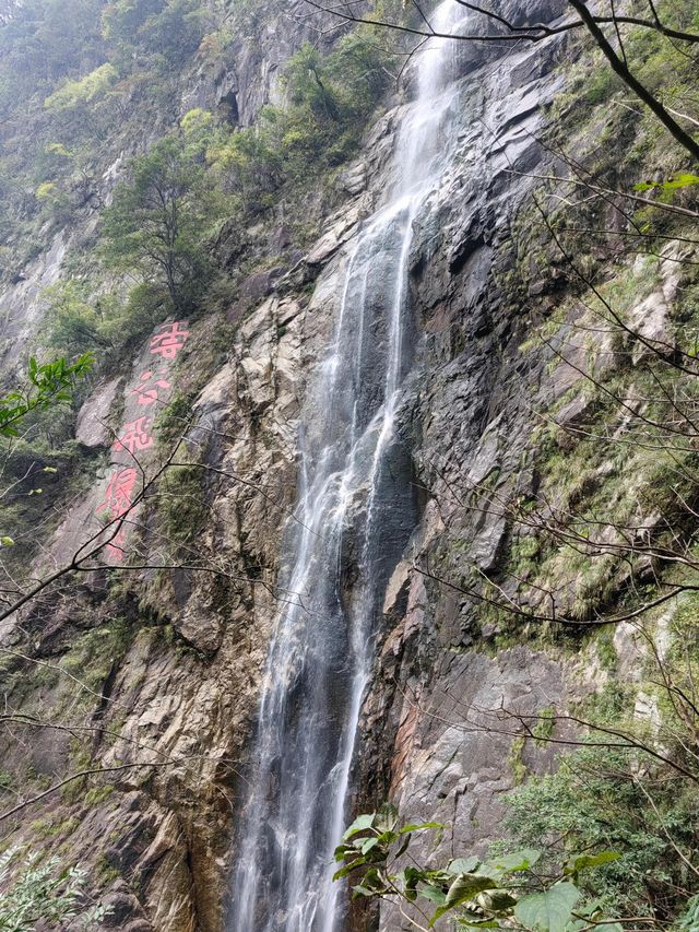 宜春明月山｜硒泉煮月溫禪骨 雲梯漫步叩天扉
