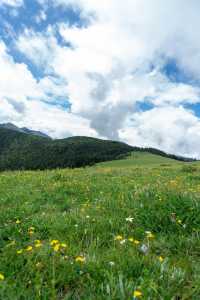 川西初夏治癒清單 雪山草甸全攻略附小眾打卡點