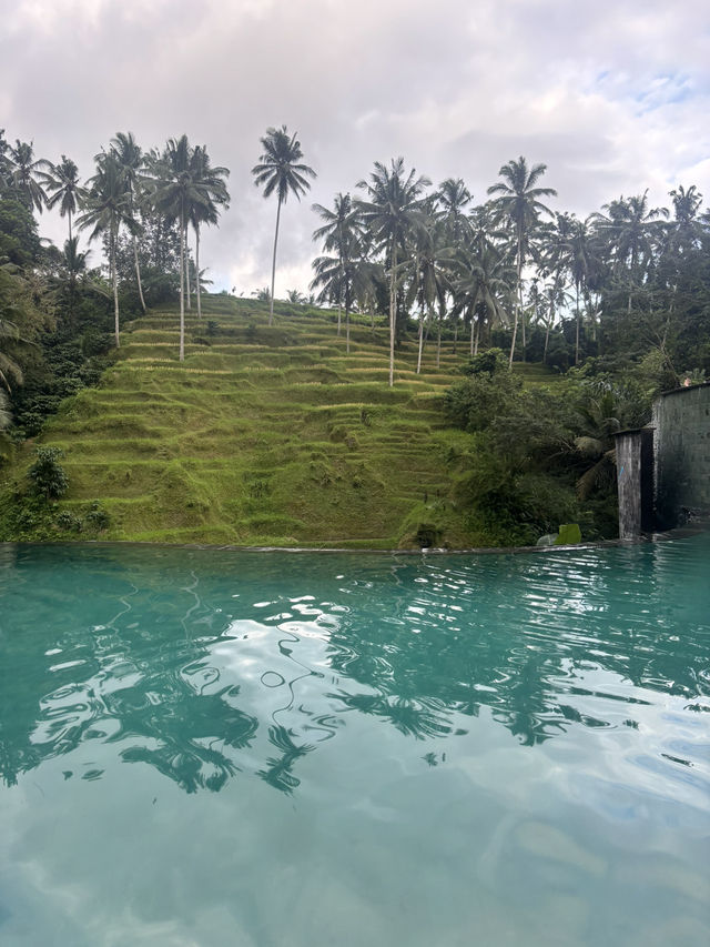 Cretya- Ubud