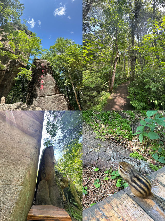 打卡東北小瑞士湯旺河林海奇石嘅奇幻之旅