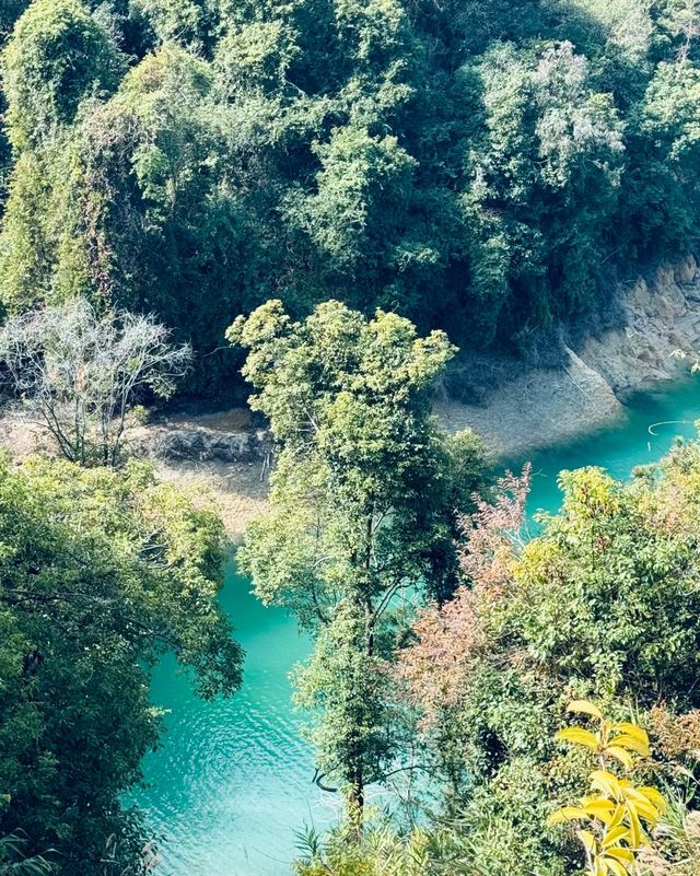 廣深自駕遊2h！遊船盡享萬綠湖美景