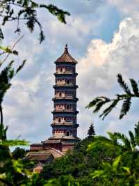 【北塢公園】漫步稻浪與古橋間