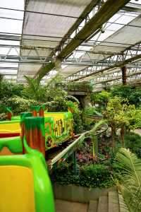 南宮五洲植物樂園｜京城遛娃頂配