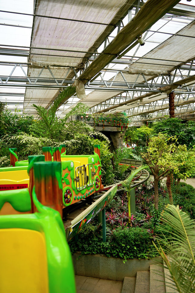 南宮五洲植物樂園｜京城遛娃頂配