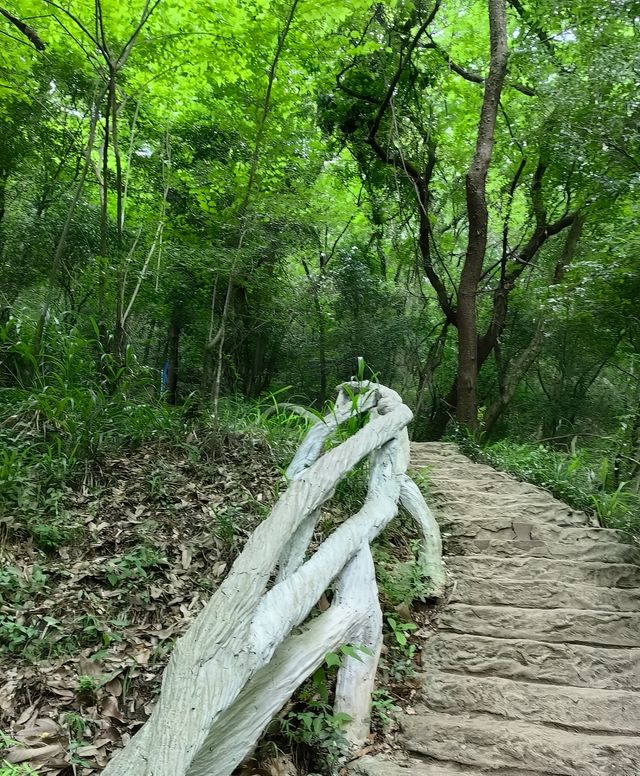 大口國家森林公園  文峰公園：森林秘境與千年文脈嘅碰撞