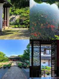 太倉必打卡全攻略