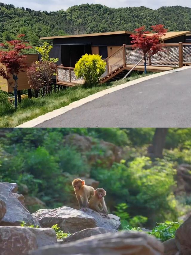攜程度假農莊太行蜜境私湯享，親子避暑超治癒