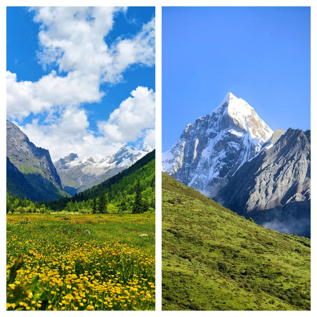 世運會的小伙伴們！四姑娘山免票福利來啦。