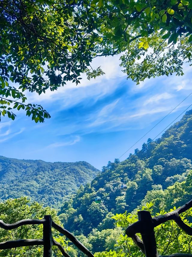風在,雲在,天堂在——華東最後一片原始森林嘅秘境召喚 風在,雲在,天堂在——華東最後一片原始森林嘅秘境召喚