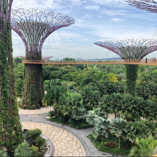 Singapore - So humid you can swim in the air!
