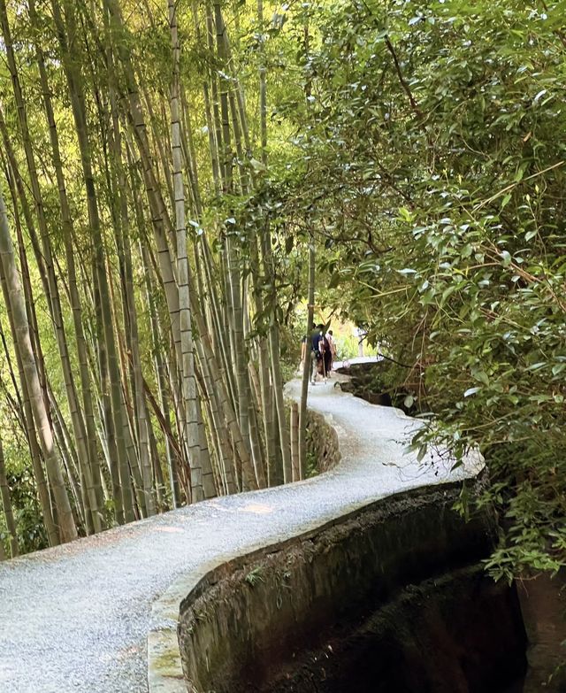 比起西湖我更愛這條小眾慢生活路線 比起西湖我更愛這條小眾慢生活路線