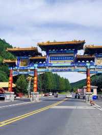 青蔥森林的柔情——御道口草原森林風景區