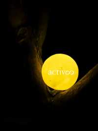 altTitle